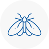 Moth Control Specialists In Burrington
